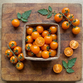 Profi Frutti&trade; Mandarin, (F1) Tomato Seeds